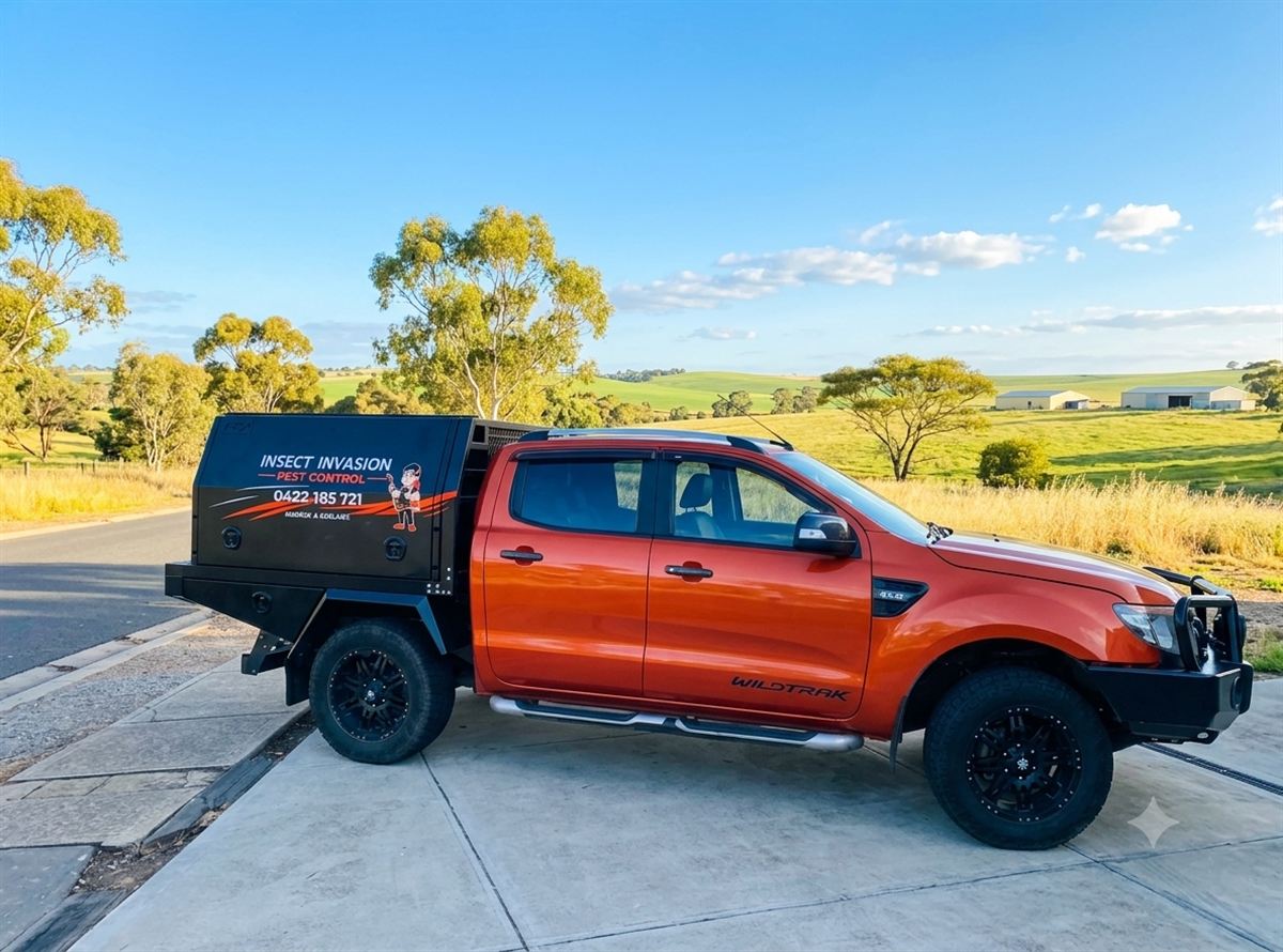 The Insect Invasion orange Ford Ranger ute out on the road in the Barossa